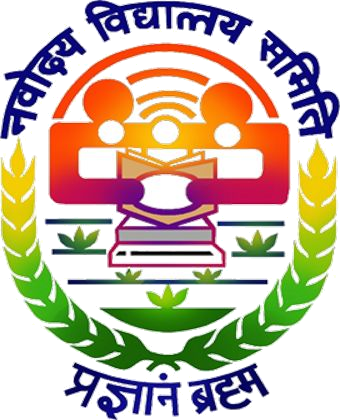 NVS Logo